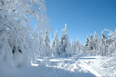 Fichtelgebirge winterlandschap