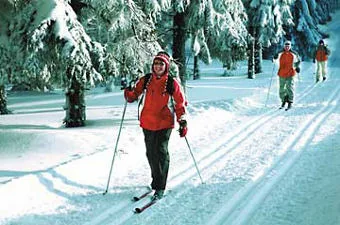 Thüringer Wald winterlandschap